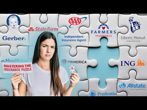 The Puzzle of Insurance: Ensuring a Strong Safety Net