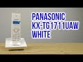 PANASONIC KX-TG1711UAW - відео