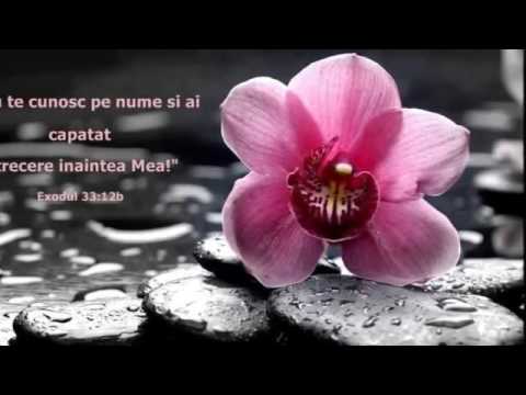 Eden Spania    Ghetsimani