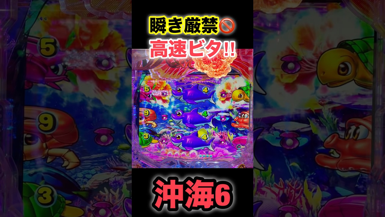 【沖海6】瞬き厳禁🚫高速ビタ止まり😳‼️ #ぱちぱちtv #海物語 #パチンコ #沖海6