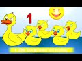 Subscribe To Busy Beavers TV For 1 99 US A Month