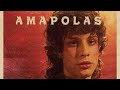 ☆ Amapolas - Leo Rizzi (Letra/lyrics)｡⁠☆