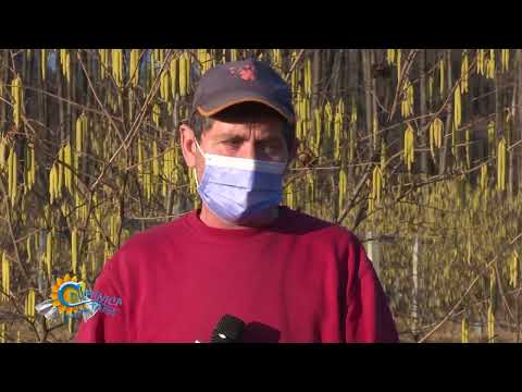 DUMINICA PRIN TARA PESTISANI GORJ 27 02 2022  P3