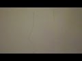 я лошара:DD 