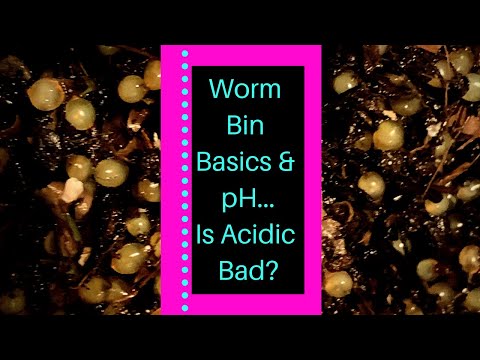 Worm Bin Basics Episode 5: pH & “Buffering” a Bin