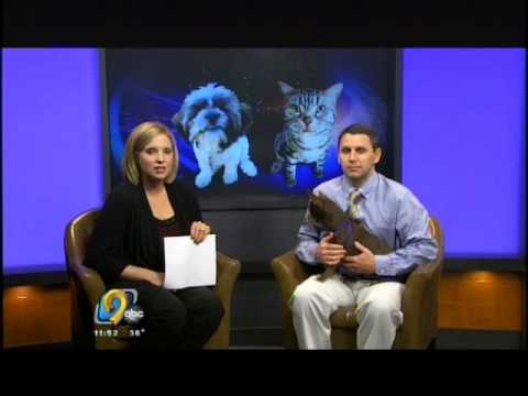 Dr. Steen On KCRG-TV9 from 12-12-12