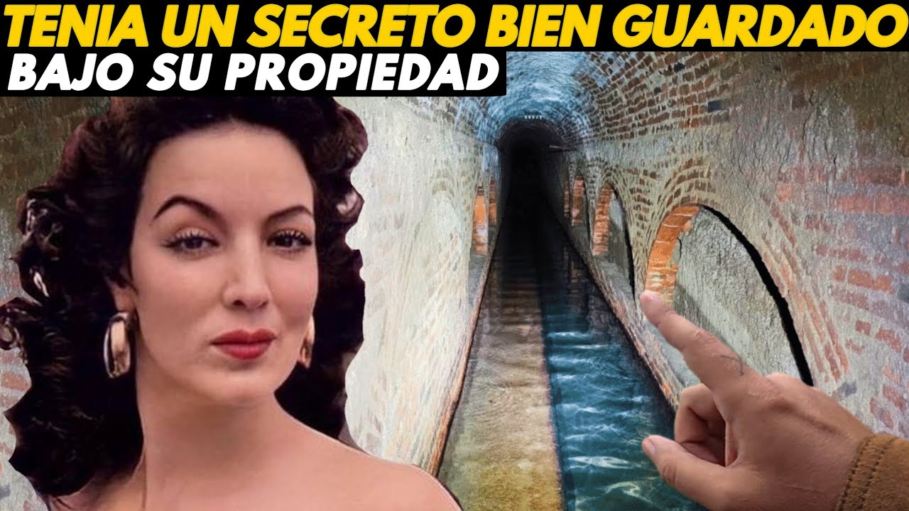 YouTube Thumbnail Downloader FULL HQ IMAGE