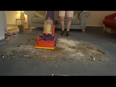 Dyson DC01 De Stijl HUGE Mess Test