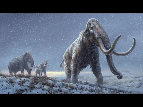 西伯利亞猛獁象的牙齒產生了有史以來最古老的DNA。 (Siberian mammoth teeth yield oldest DNA ever recovered)