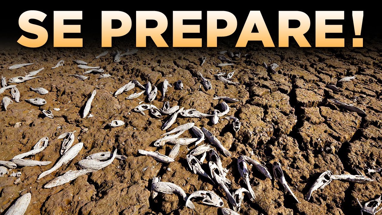 3 PROFECIAS QUE VÃO ABALAR O MUNDO NOS ÚLTIMOS TEMPOS!