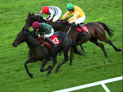 Bet365 Gold Cup..NON RUNNER...Selection...