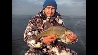 Ловля леща на веселовском водохранилище летом