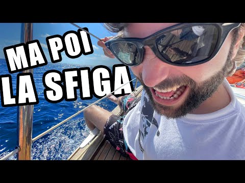 A monitorare cetacei col WWF...