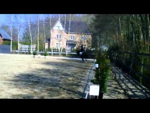 Reniers Felien & Igor Van de Frissehoek KR E7 Paarden 07-04-2013 Vliermaal