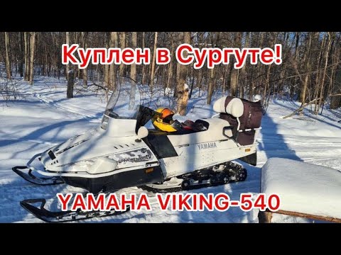  
            
            Вскрытие и ремонт мотора снегохода Yamaha Viking 540 с пробегом 1471 км: подробный обзор проблем и их решение

            
        