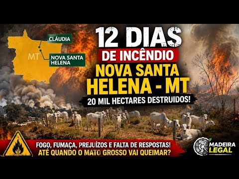NOVA SANTA HELENA EM CHAMAS: INCÊNDIO JÁ DURA 12 DIAS E DESTRÓI 20 MIL HECTARES!