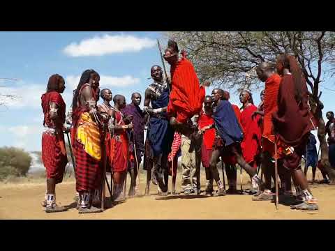 Incredible Maasai jumping dance