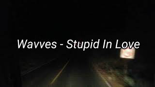 Wavves - Stupid In Love (Subtitulada Español)