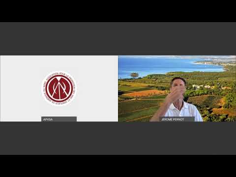 Provence rosé winemaking at Léoube  By Jérôme Pernot 20210629