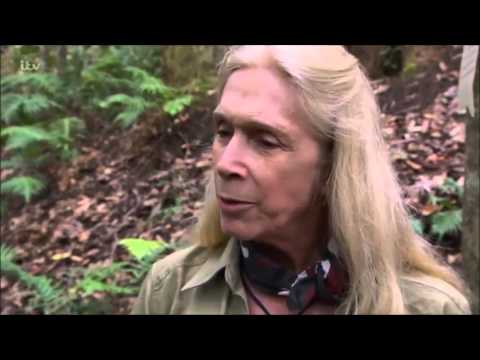 Im a Celebrity Lady C's funniest moments