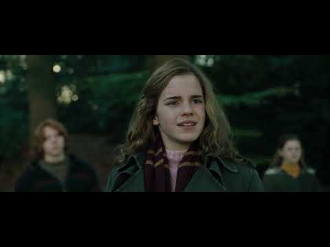 Hermione Shouts At Harry - Harry Potter And The Goblet Of Fire