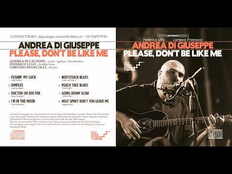 Andrea Di Giuseppe - Dimples (John Lee Hooker)