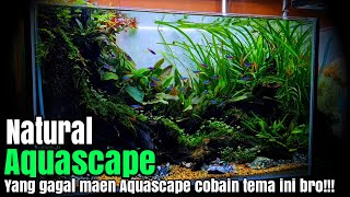 #325 Create an Aquascape for beginners with easy-to-care plants!!!