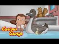 George S Duck Pond Curious George Kids Cartoon Kids Movies