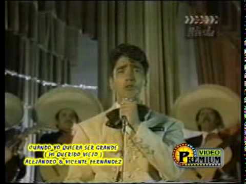 alejandro y vicente fernandez - cuando yo queria ser grande.mpg