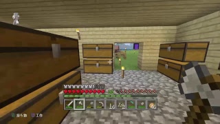 のんびりマイクラ