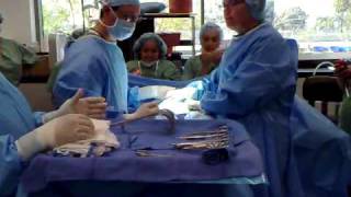 c section part 6 instruments setup class