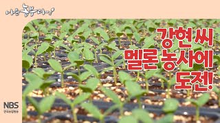 [나는농부다 241회] 강현 씨 멜론 농사에 도전!