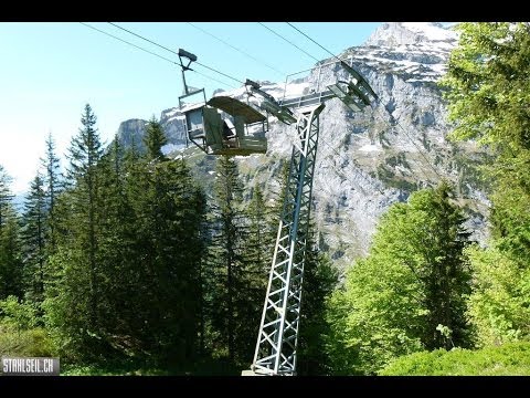 3PB Waldnacht-Brüsti