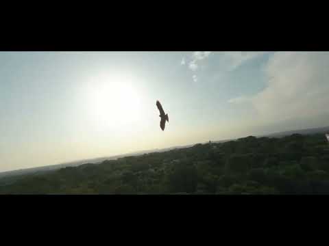 Dancing in The Night - Cioz Feat. Eleonora - FPV Drone Freestyle Cover