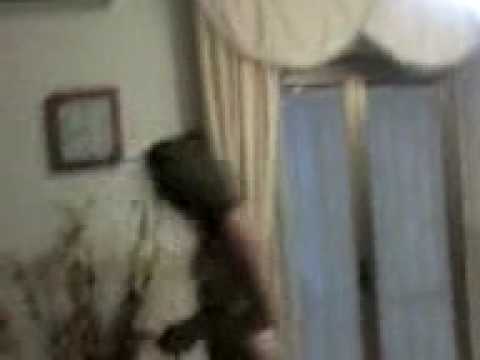 Tina sacco nu fa scem