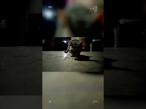 Ye bhi baccho se kam nahi✌️✌️😇