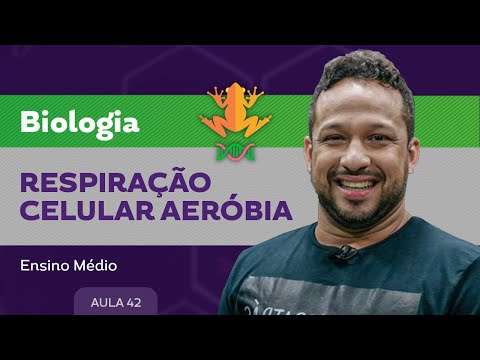 Respiração celular aeróbia​ - Biologia - Ensino Médio