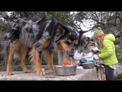 2018.03.07 EURO-Trip 2017/18 ITALIEN - SIZILIEN: Spritztouren im "PENNER"-Auto