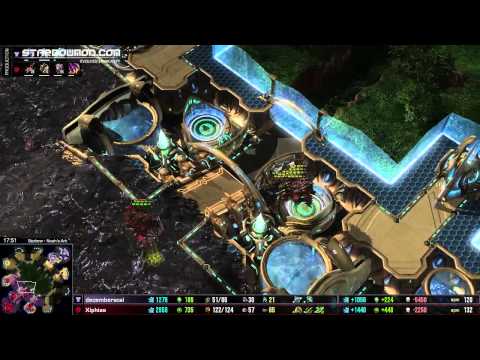 Xiphias (z) Vs Dec (t) - Wife and girlfriend cast