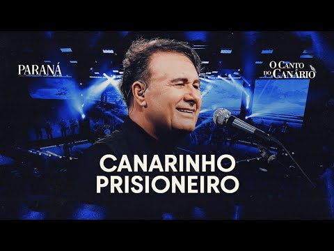 Canarinho Prisioneiro - Paraná | O Canto do Canário (Clipe Oficial)