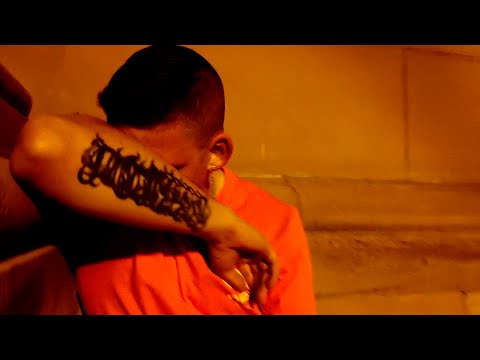 DOMEED X DEMENT X ALLES WIRD GUT X OFFICIAL VIDEO X BEAT BY PASCHA BEATZ