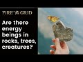 FIRE THE GRID Are There Energy Beings In Rocks Trees Creatures