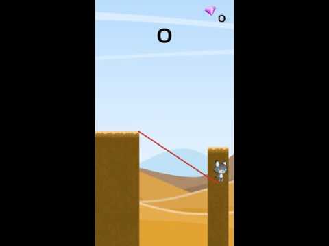 Swinging Cat Video