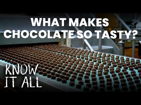 What Makes Chocolate so Tasty? | Know It All S1E11 | FULL EPISODE | Da Vinci