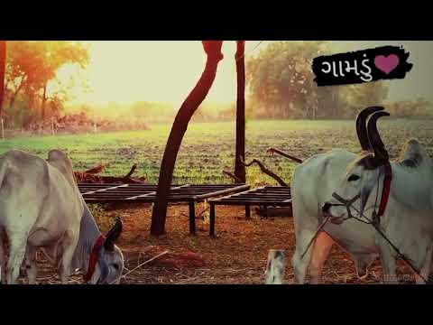 🐦🦋gamdu 🏕️🏜️ with Gujarati song||whatsapp status #gamdu#farmer #gujrati song#status#farmers #songs
