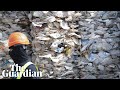 Malaysia To Send Back Imported Plastic Waste We Cannot Be Bullied