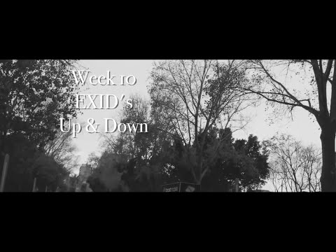 Vlog 130515 - Kpop Dance week 10 (EXID - Up & Down)