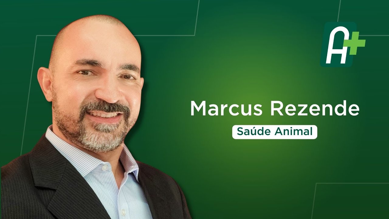 Calor influencia no bem-estar e na produtividade dos animais