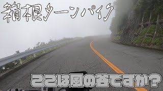 【ハーレー XL1200X】箱根ターンパイクの峠にジブリもビックリな霧発生【モトブログ ＃2】