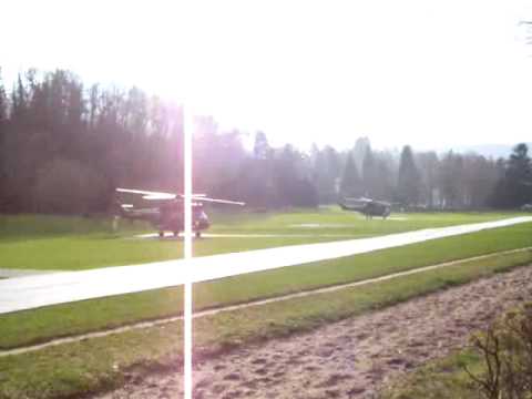 L'armee de terre at Nato meeting in Baden-Baden